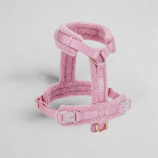 Hundegeschirr-Set Teddy Rosa