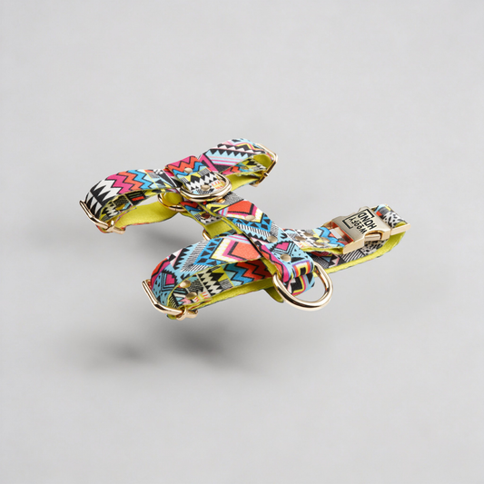 Hundegeschirr Ethnic Vibrance