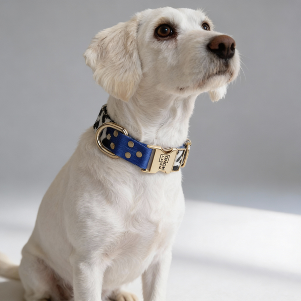 Halsband Blueberry