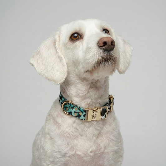 Halsband Aqua Camo