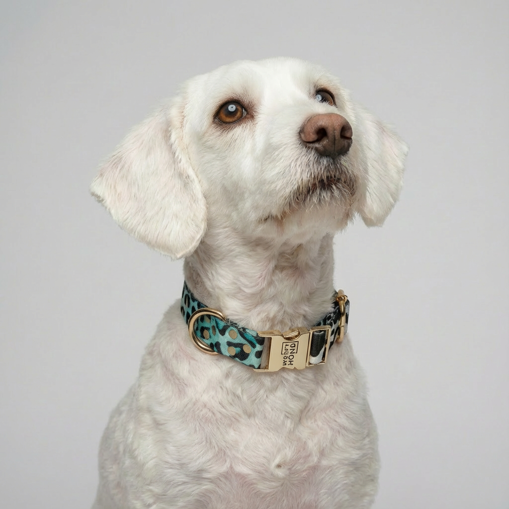 Halsband Aqua Camo